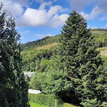 Daire Appartementen Am Forstweg Yalet